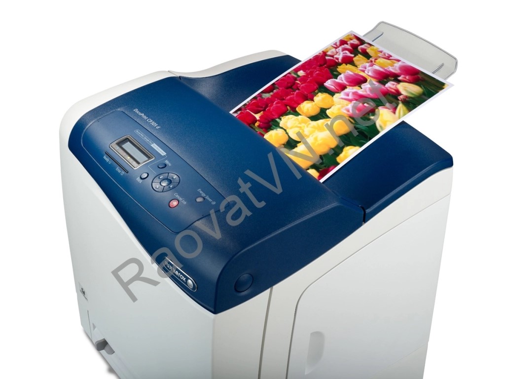 Bán máy in FUJI XEROX CP305D lazer màu cũ